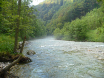 rakousko_13_20171009_1956936406