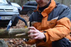 konec-2016_12_20171025_1834253704