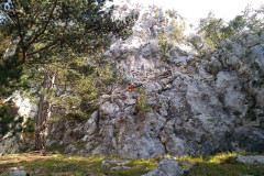 v_raxu_15_20171025_1076874796